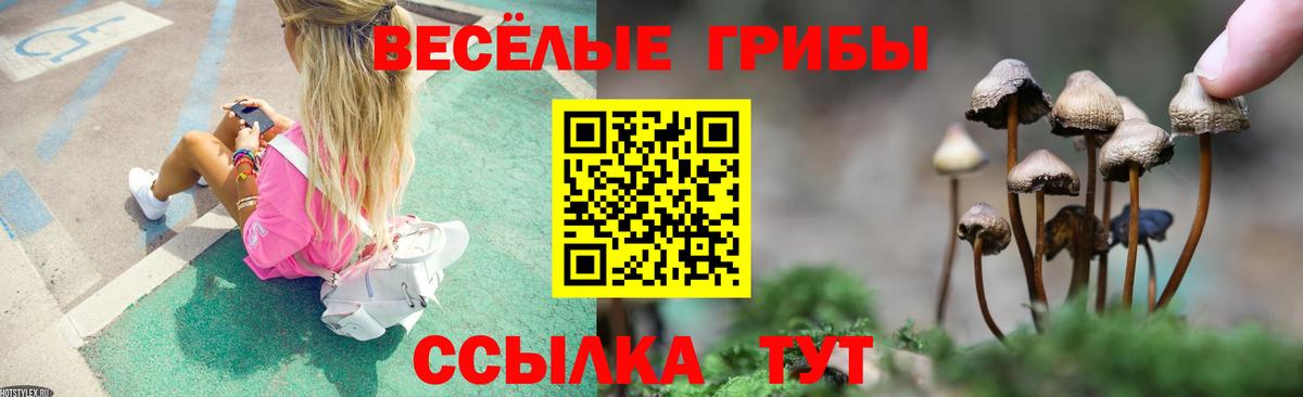 цена   Переславль-Залесский  Галлюциногенные грибы MAGIC MUSHROOMS 